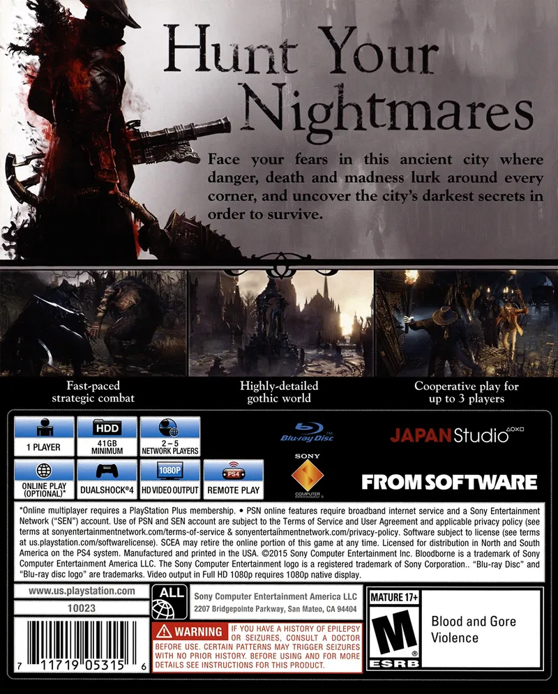 Bloodborne box back