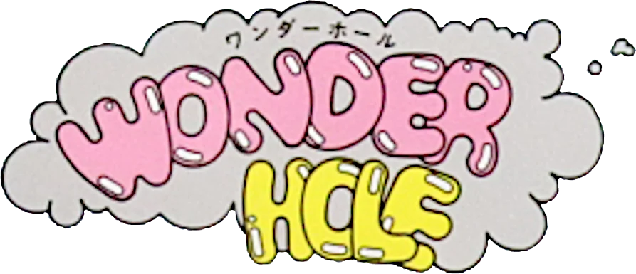 Wonder Hole logo