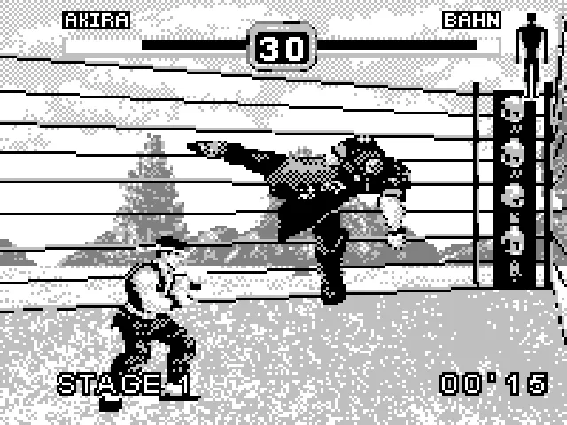 Backdrop artwork for Fighters Megamix