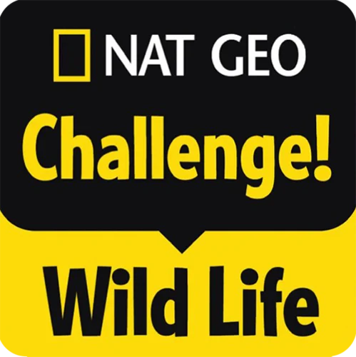 Nat Geo Challenge! Wild Life logo