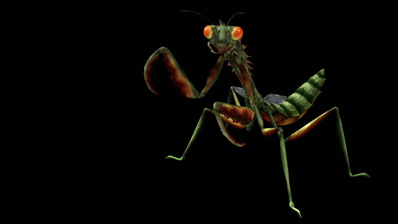 Backdrop artwork for Escape from Bug Island