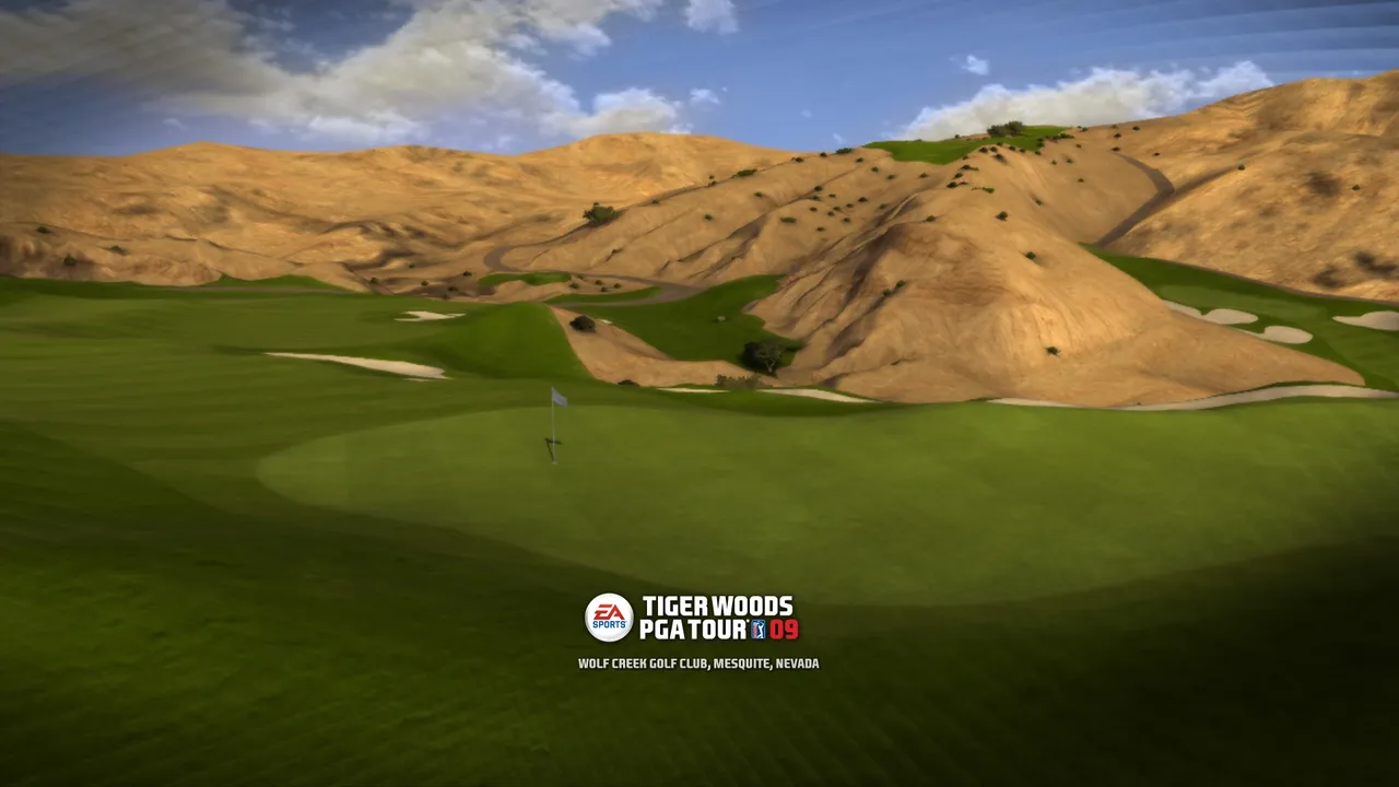 Backdrop artwork for Tiger Woods PGA Tour 09 All Play