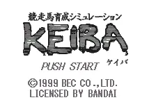 Kyousouba Ikusei Simulation: Keiba screenshot